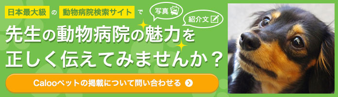 Calooペットの掲載について問い合わせる