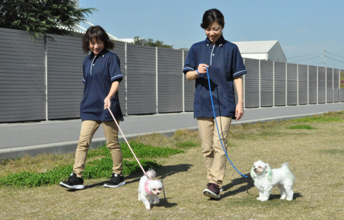 アロハ動物病院の求人 採用 獣医師 動物看護師 トリマーの募集 愛知県岡崎市 動物病院口コミ検索calooペット