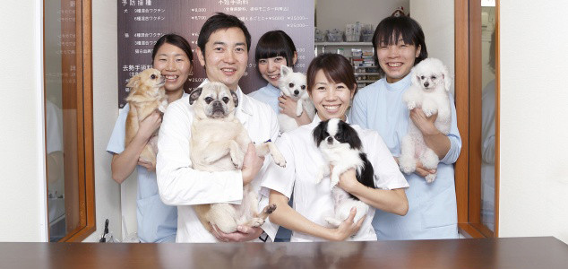 レオどうぶつ病院