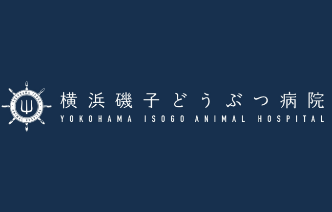 横浜磯子どうぶつ病院