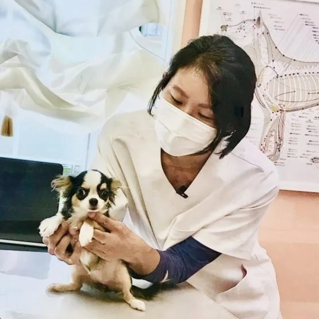 丸山 里依子