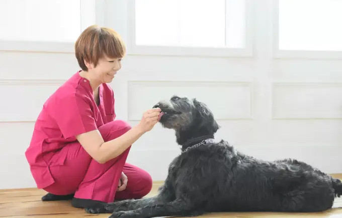 富士見台どうぶつ病院