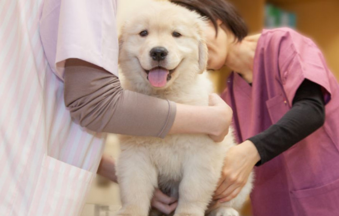 中村動物病院