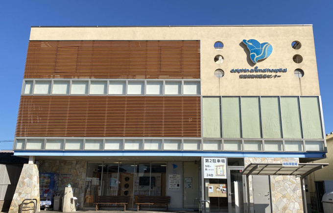 ドルフィンアニマルホスピタル　東浦和院