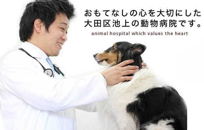 池上アクア動物病院