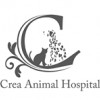 クレア動物病院