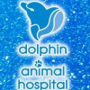 ドルフィンアニマルホスピタル　浦和美園動物医療センター