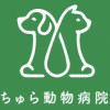 札幌市北区のウサギを診察する動物病院 15件 動物病院口コミ検索calooペット