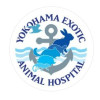 横浜エキゾチック動物病院