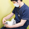 日本獣医がん学会認定医によるがん治療