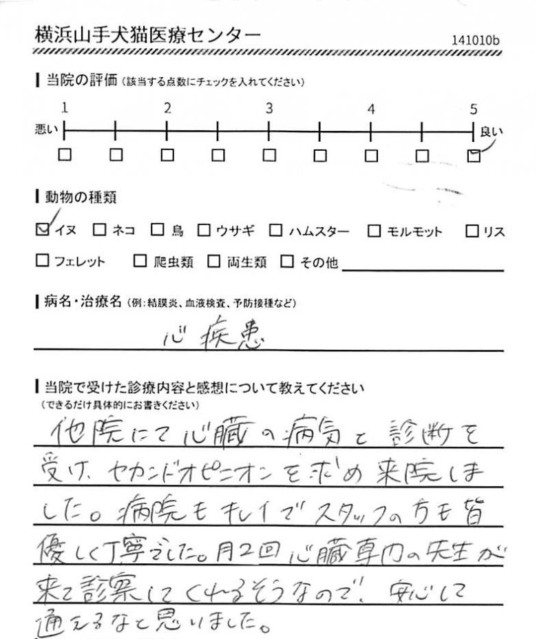 横浜山手犬猫医療センター 利用者の声（心疾患）