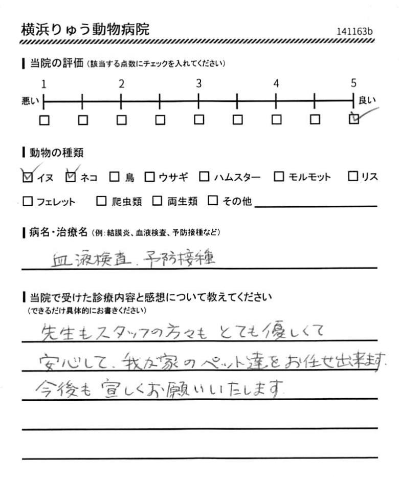横浜りゅう動物病院 利用者の声（ネコの血液検査、予防接種）