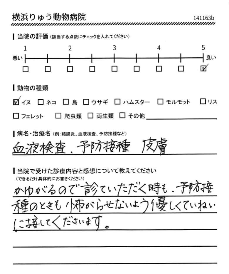 横浜りゅう動物病院 利用者の声（血液検査、予防接種、皮膚）
