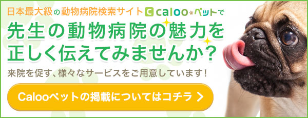 Calooペットの掲載について問い合わせる